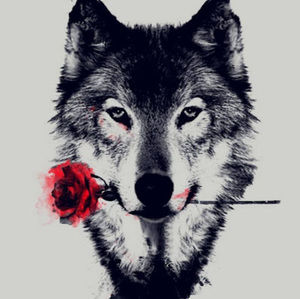 Meet your Posher, Ops